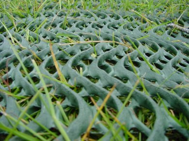 GrassProtecta grass reinforcement mesh
